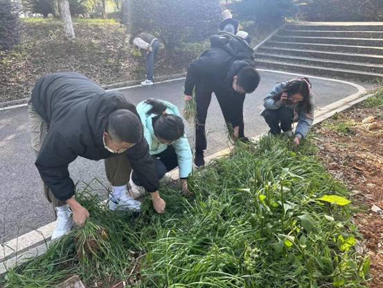 微信图片_20240110223439